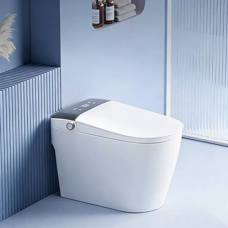 Grootskerm Digital Display Knop Smart Toilet