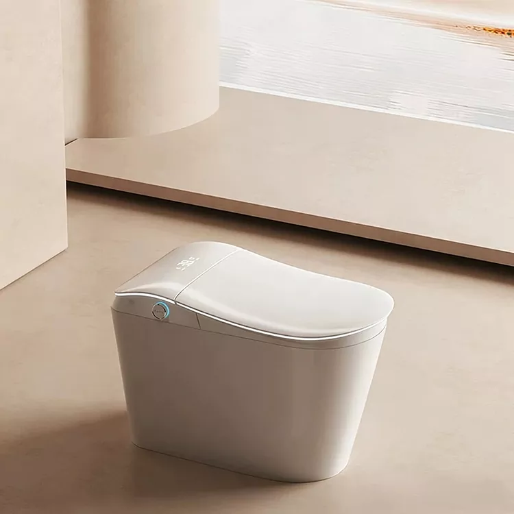 Slim toilet met ingeboude waterfilter en voet-geaktiveerde spoel